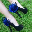 Blue Feathers