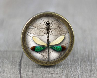 Butterfly Glass Cabochon Bronze cabinet Dresser Knobs pull / Dresser Pull