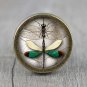 Butterfly Glass Cabochon Bronze cabinet Dresser Knobs pull / Dresser Pull