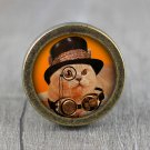 Steampunk Cat Glass Cabochon Bronze cabinet Dresser Knobs pull / Dresser Pull