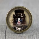 Steampunk Cat Glass Cabochon Bronze cabinet Dresser Knobs pull / Dresser Pull