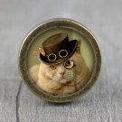 Steampunk Cat Glass Cabochon Bronze cabinet Dresser Knobs pull / Dresser Pull