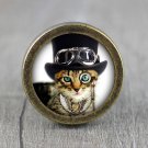 Steampunk Cat Glass Cabochon Bronze cabinet Dresser Knobs pull / Dresser Pull