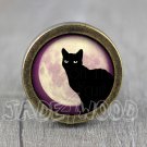 Cat Glass Cabochon Bronze cabinet Dresser Knobs pull / Dresser Pull