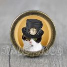 Cat Glass Cabochon Bronze cabinet Dresser Knobs pull / Dresser Pull