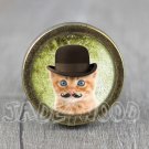 Cat Glass Cabochon Bronze cabinet Dresser Knobs pull / Dresser Pull