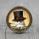 Cat Glass Cabochon Bronze cabinet Dresser Knobs pull / Dresser Pull