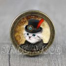 Cat Glass Cabochon Bronze cabinet Dresser Knobs pull / Dresser Pull