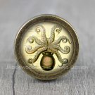 Octopus Glass Cabochon Bronze cabinet Dresser Knobs pull / Dresser Pull