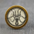 Octopus Glass Cabochon Bronze cabinet Dresser Knobs pull / Dresser Pull