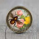 Bee Glass Cabochon Bronze cabinet Dresser Knobs pull / Dresser Pull