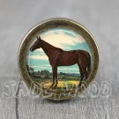 Horse Glass Cabochon Bronze cabinet Dresser Knobs pull / Dresser Pull