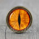 Tiger eye Glass Cabochon Bronze cabinet Dresser Knobs pull / Dresser Pull