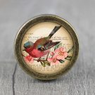 Bird Glass Cabochon Bronze cabinet Dresser Knobs pull / Dresser Pull