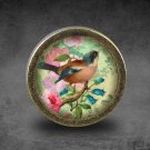 Bird Glass Cabochon Bronze cabinet Dresser Knobs pull / Dresser Pull