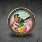 Bird Glass Cabochon Bronze cabinet Dresser Knobs pull / Dresser Pull