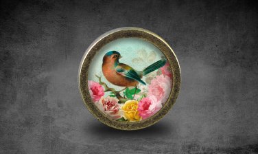 Bird Glass Cabochon Bronze cabinet Dresser Knobs pull / Dresser Pull