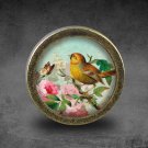 Bird Glass Cabochon Bronze cabinet Dresser Knobs pull / Dresser Pull