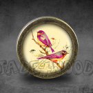 Bird Glass Cabochon Bronze cabinet Dresser Knobs pull / Dresser Pull