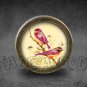 Bird Glass Cabochon Bronze cabinet Dresser Knobs pull / Dresser Pull