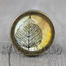 Autumn Leaf Glass Cabochon Bronze cabinet Dresser Knobs pull / Dresser Pull