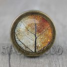 Autumn Leaf Glass Cabochon Bronze cabinet Dresser Knobs pull / Dresser Pull