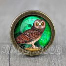 Owl Glass Cabochon Bronze cabinet Dresser Knobs pull / Dresser Pull