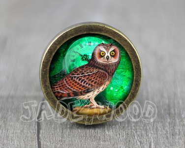 Owl Glass Cabochon Bronze cabinet Dresser Knobs pull / Dresser Pull