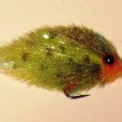 Pumpkinseed
