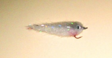 Minnow