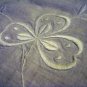 Ayrshire whitework embroidered pillow cover or tablecloth shamrocks antique hc2394