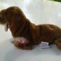 Paul the walrus Ty Beanie Baby toy retired mint hc2518