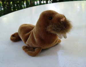 paul the walrus beanie baby