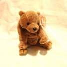 Pecan the brown honey bear Ty Beanie Baby toy 1999 retired mint hc2857