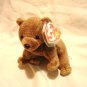 Pecan the brown honey bear Ty Beanie Baby toy 1999 retired mint hc2857