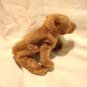 Pecan the brown honey bear Ty Beanie Baby toy 1999 retired mint hc2857