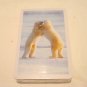 Polar bears in snow deck of playing cards sealed in package hc2867