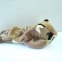 Canyon the cougar 1998 Ty Beanie Baby toy retired mint hc2969