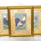 Set of three fancy rooster framed prints signed Mid hc3355