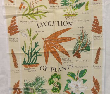 Evolution of Plants tea towel Royal Botanic Kew Gardens cotton unused hc3372