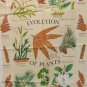Evolution of Plants tea towel Royal Botanic Kew Gardens cotton unused hc3372