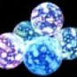 Beach Ball Glow-in-the-Dark + Free Gift