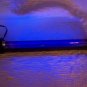 Black Light Lamp + Free Gift