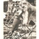 ORIGINAL AUTOGRAPHED PHOTO MISS PATRICIA "PAT" WHITE CARSON & BARSON CIRCUS ANIMAL TRAINER