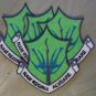 Changling Unit Patch