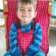 HighChair Harnesses