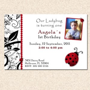 Printable Ladybug Birthday Party Photo Invitations Girl 1st 2nd Lady Bug