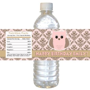 24 Labels Owl Damask Pink Brown Bottle Wrappers Birthday Baby Shower Blue Boys