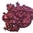Bordeaux - 1 Ounce