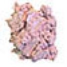 Pink Shimmer - 1 Ounce
